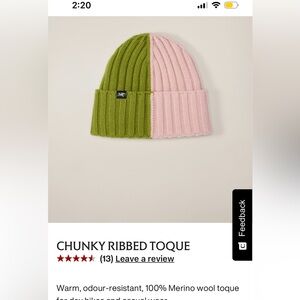 NWT Arc'teryx Chunky Ribbed Toque - Green and Pink